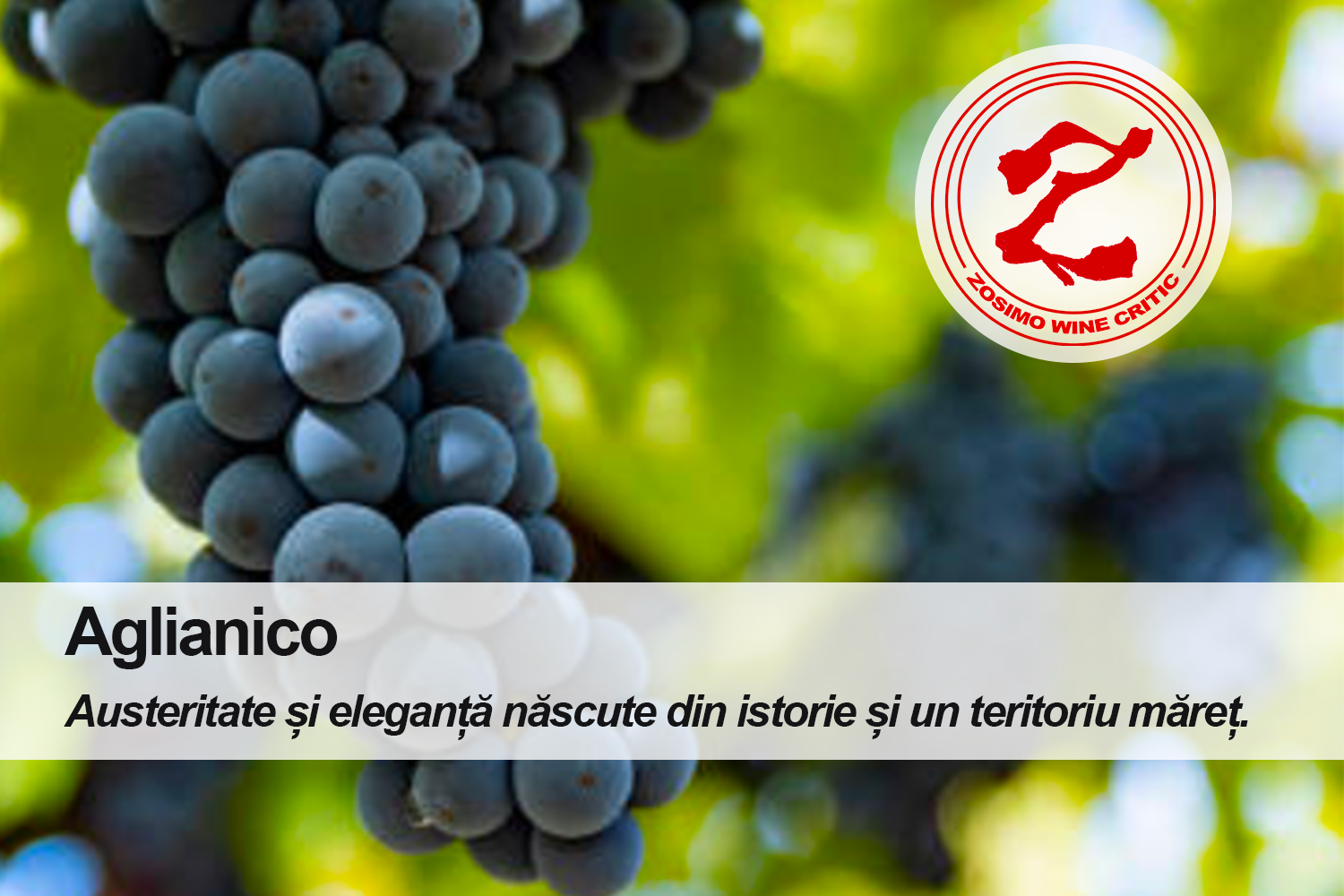 Aglianico – Austeritate și eleganță născute din istorie și un teritoriu măreț.